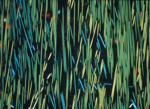 PMC Carbon Fibre in a Polymer Matrix by Frederick (attr. to) Barnard