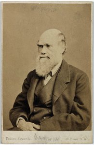 Charles Darwin, English Naturalist, c. 1870s