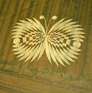Crop circle in wheat field, Hailey Wood, Ashbury, Oxfordshire