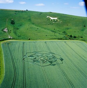 Crop circle in wheat field, Milk Hill, Alton Priors, Vale of Pewsey, Wiltshire