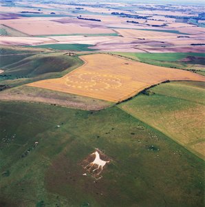 Crop circle in wheat field, Milk Hill, Alton Priors, Vale of Pewsey, Wiltshire
