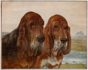 Dogs of Saint Hubert or Bloodhound by . .