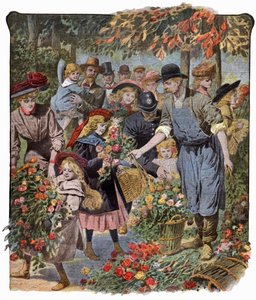 Flowers Distribution
