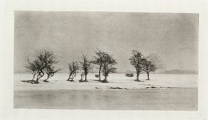 Gnarled Thorn Trees by Frederick (attr. to) Barnard
