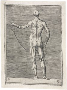 Anatomical Study of Male Musculature; Man Holding a Rope, c 1555 by Frederick (attr. to) Barnard