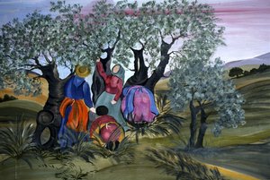 Olive Picking, Naive of Barbara Mencarelli, Mandoleto, Solomeo, Umbria, Italy