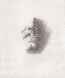 Study for the Face of a Man: Mouth and Nose
