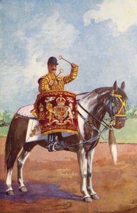 Drum Horse of the 1st Life Guards