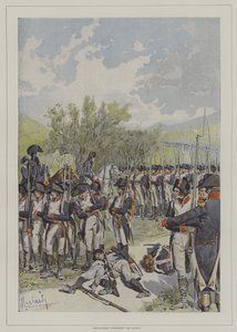 Bonaparte Passing Among the Ranks of His Army