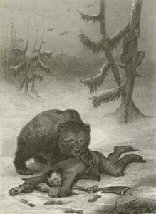 The Bear and the Two Companions