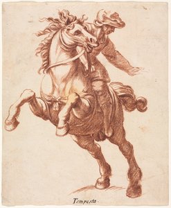 Rearing Horse and Rider
