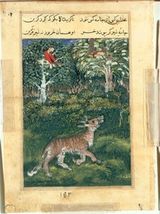 The donkey, in a tiger’s skin, reveals his identity by braying aloud, from a Tuti-nama (Tales of a Parrot): Thirty-first Night by attributed to Basavana