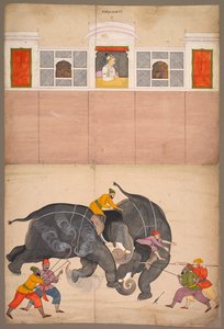 Two Elephants Fighting in a Courtyard Before Muhammad Shah by attributed to Nainsukh