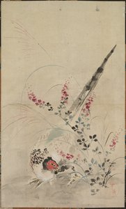 Pheasant and Grasses by attributed to Ogata Kōrin