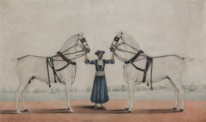 A Syce Groom Holding Two Carriage Horses by attributed to Shaikh Muhammad Amir of