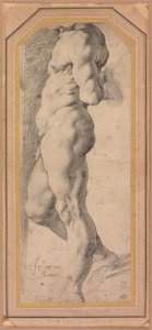 Study of a Standing Male Nude by called Cavaliere d