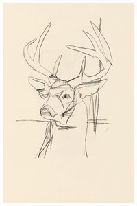 Abstract Deer Sketch by cartissi