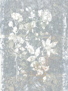 Abstract Grey Botanicals by cartissi