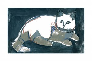 Artistic White Cat by cartissi