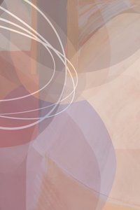 Blush Abstract Curves