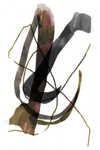 Dark Organic Flow by cartissi
