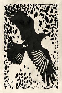 Dark Raven Soaring by cartissi