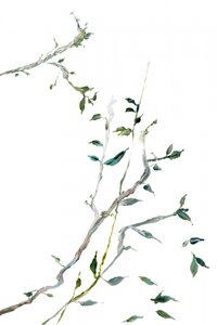 Delicate Green Branches