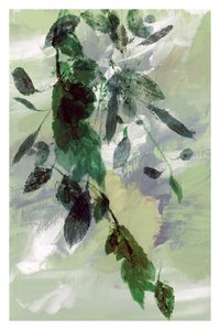 Flowing Greenery Abstract by cartissi