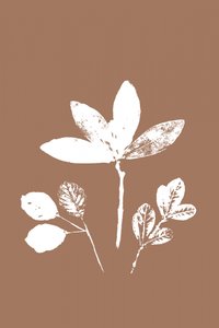 Leaves in Contrast