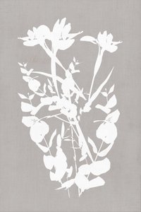 Modern Botanical Silhouettes by cartissi