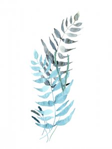 Muted Blue Ferns