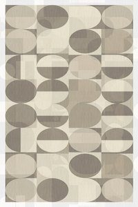 Neutral Geometric Circles by cartissi
