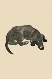Sleeping Black Dog by cartissi