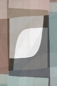 Soft Geometric Flow by cartissi