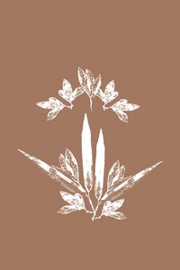 Stylized Botanical Leaves by cartissi