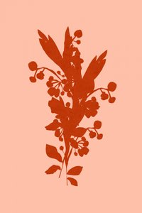 Terracotta Floral Silhouette by cartissi