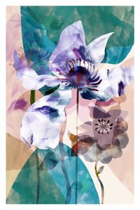 Translucent Floral Anemones by cartissi
