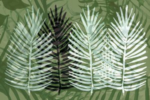 Tropical Green Foliage