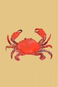 Vibrant Red Crab