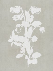 White Botanical Blooms by cartissi