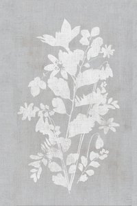 White Floral Silhouette by cartissi