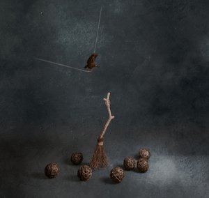 Magic Broom Flying Bird