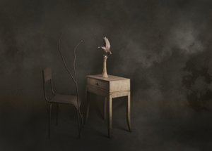 Quiet Bird Scene by chenyi wang