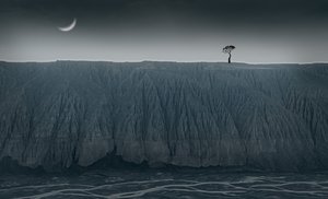 Solitary Tree Crescent Moon