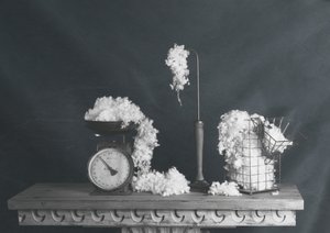 Vintage Cotton Still Life by chenyi wang