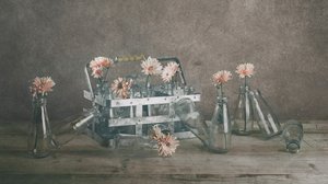 Vintage Floral Bottles by chenyi wang