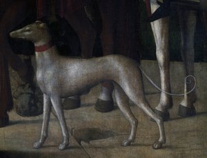 Dog (detail)