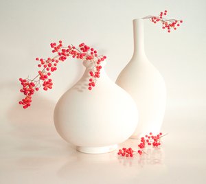 Elegant Berry Vases