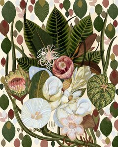 Tropical Botanical Bouquet by giovanna nicolo