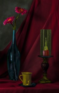 Dramatic Floral Still Life by jlloydphoto